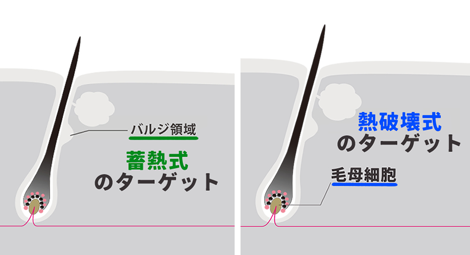 ラシャ-ターゲットの違い-イメージ