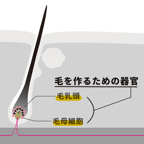 熱破壊式ダイオードレーザーのターゲット