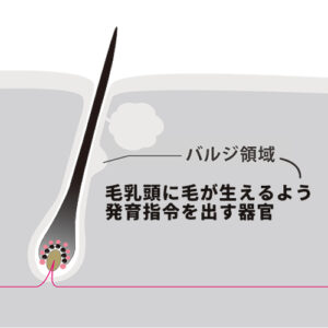 蓄熱式ダイオードレーザーのターゲット