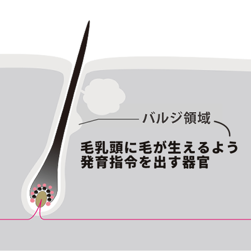 蓄熱式ダイオードレーザーのターゲット