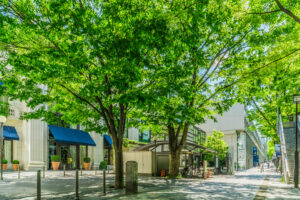メンズアリシアクリニック表参道院はココ！表参道周辺で脱毛できる他社店舗も紹介