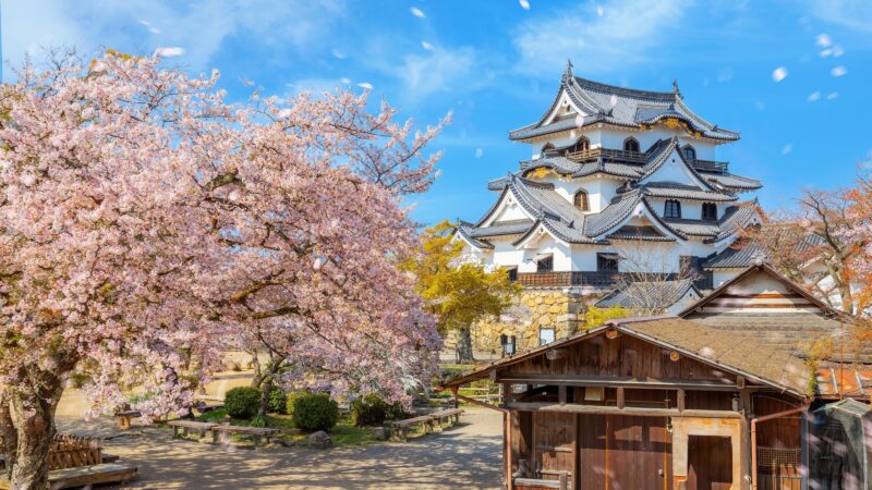 彦根にメンズエミナルはある?メンズエミナル彦根院のアクセスと彦根周辺の他社医院を紹介